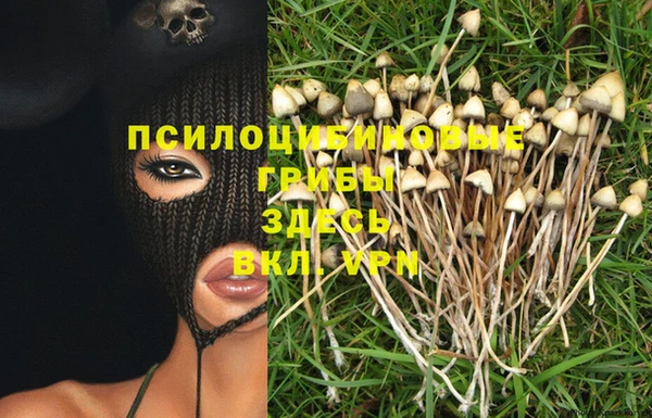 тгк Осташков