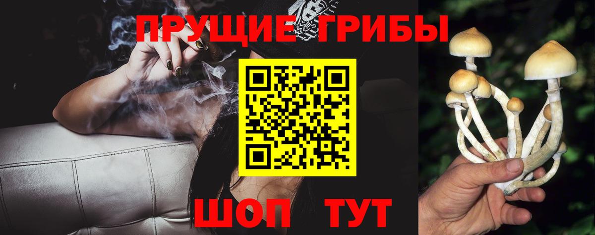 Галлюциногенные грибы мицелий  как найти закладки  Великий Устюг  Вход с VPN 